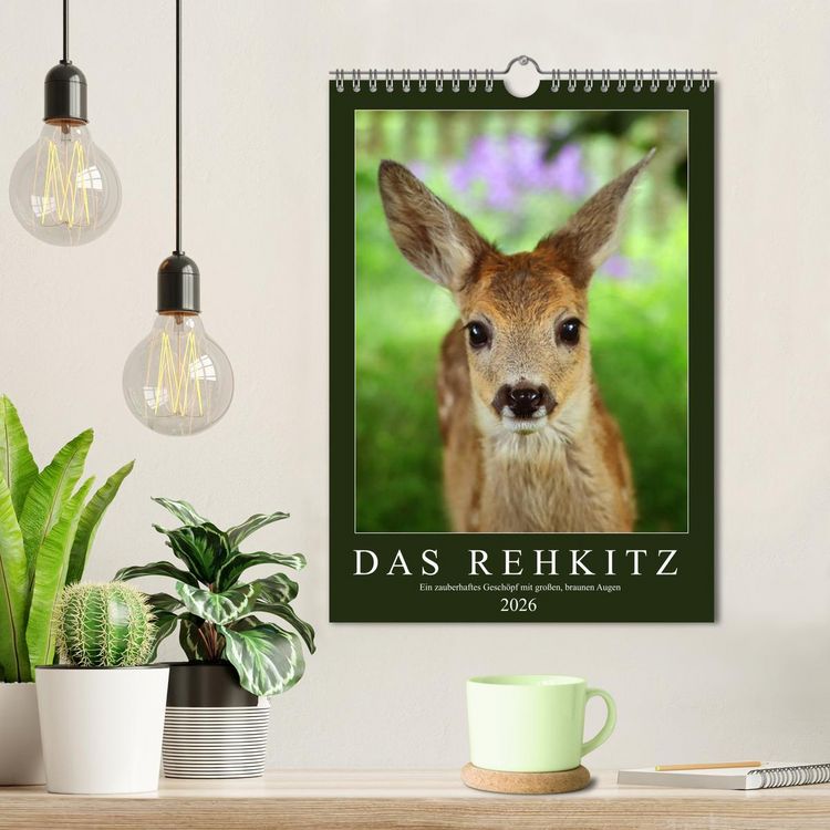 Produktbild: Das Rehkitz, ein zauberhaftes Gesch&ouml;pf mit gro&szlig;en, braunen Augen (Wandkalender 2026 DIN A4 hoch), CALVENDO Monatskalender