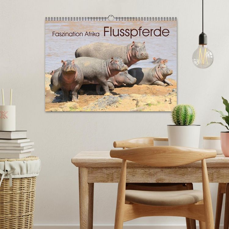 Produktbild: Faszination Afrika: Flusspferde (Wandkalender 2026 DIN A3 quer), CALVENDO Monatskalender