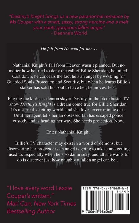 Produktbild: Destiny's Knight