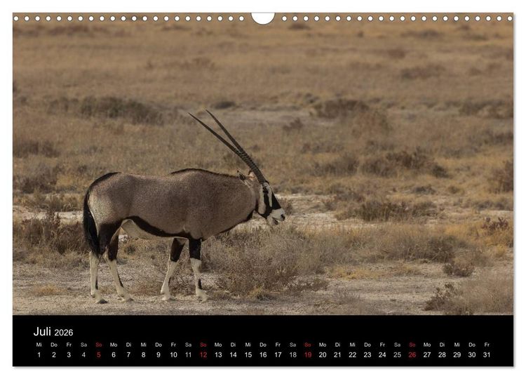 Produktbild: Wundersch&ouml;nes Namibia (Wandkalender 2026 DIN A3 quer), CALVENDO Monatskalender