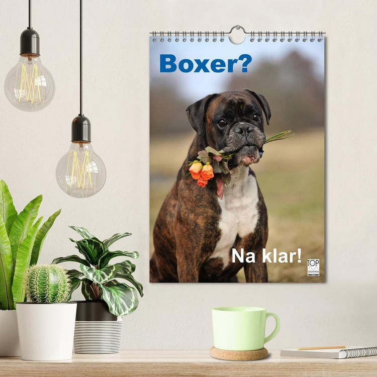 Produktbild: Boxer? Na klar! (Wandkalender 2026 DIN A4 hoch), CALVENDO Monatskalender