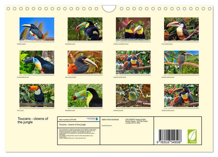Produktbild: Toucans - clowns of the jungle (Wall Calendar 2026 DIN A4 landscape), CALVENDO 12 Month Wall Calendar