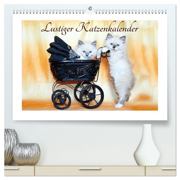 Produktbild: Lustiger Katzenkalender (hochwertiger Premium Wandkalender 2026 DIN A2 quer), Kunstdruck in Hochglanz