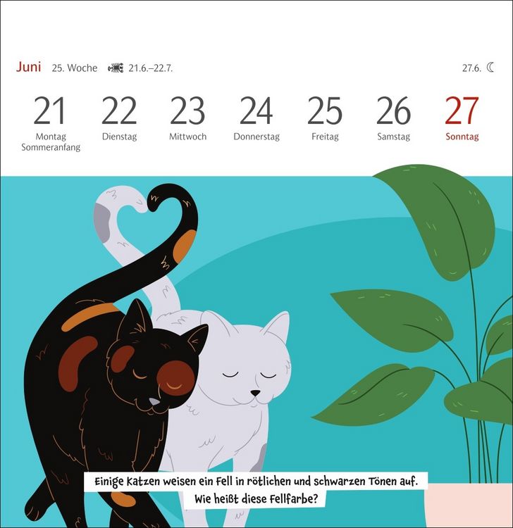 Produktbild: Unn&uuml;tzes-Wissen-Quiz Katzen Premium-Postkartenkalender 2027 - Kalender mit 53 R&auml;tselkarten