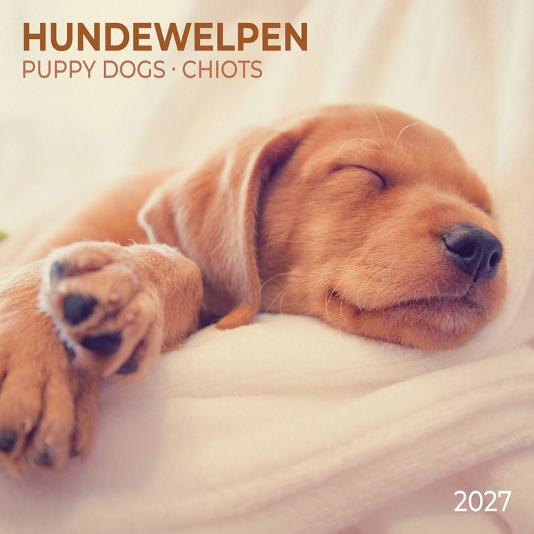 Produktbild: Hundewelpen / Puppy Dogs 2027