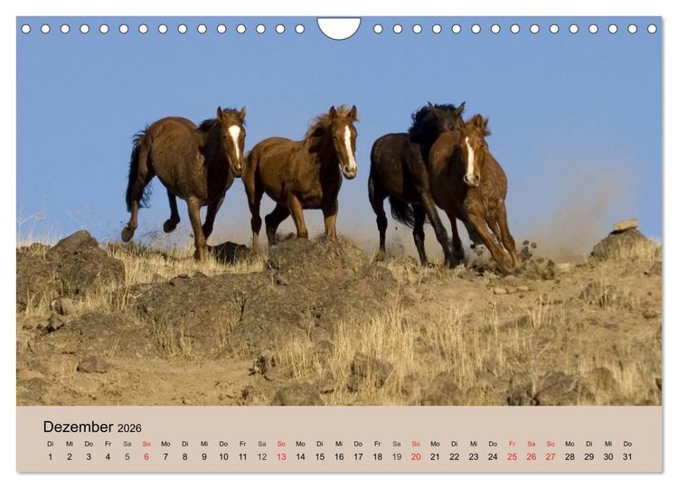 Produktbild: Wildpferde. Frei wie der Wind (Wandkalender 2026 DIN A4 quer), CALVENDO Monatskalender