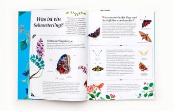 Produktbild: Schmetterlinge