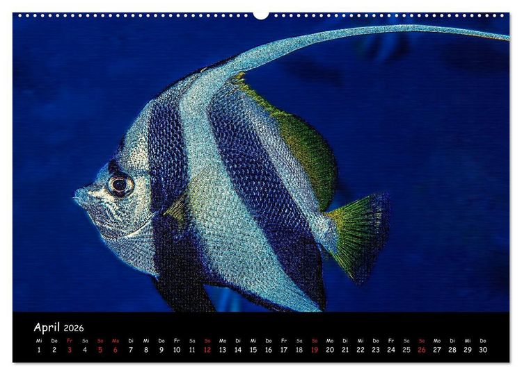 Produktbild: Die Welt unter Wasser (Wandkalender 2026 DIN A2 quer), CALVENDO Monatskalender