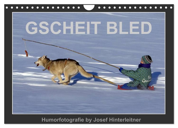 Produktbild: GSCHEIT BLED - Humorfotografie (Wandkalender 2026 DIN A4 quer), CALVENDO Monatskalender
