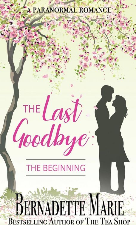 Produktbild: The Last Goodbye