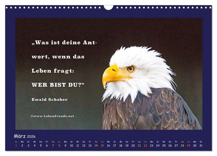 Produktbild: Bewusst leben und gl&uuml;cklich sein (Wandkalender 2026 DIN A3 quer), CALVENDO Monatskalender