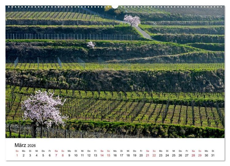Produktbild: Impressionen vom Kaiserstuhl (Wandkalender 2026 DIN A2 quer), CALVENDO Monatskalender