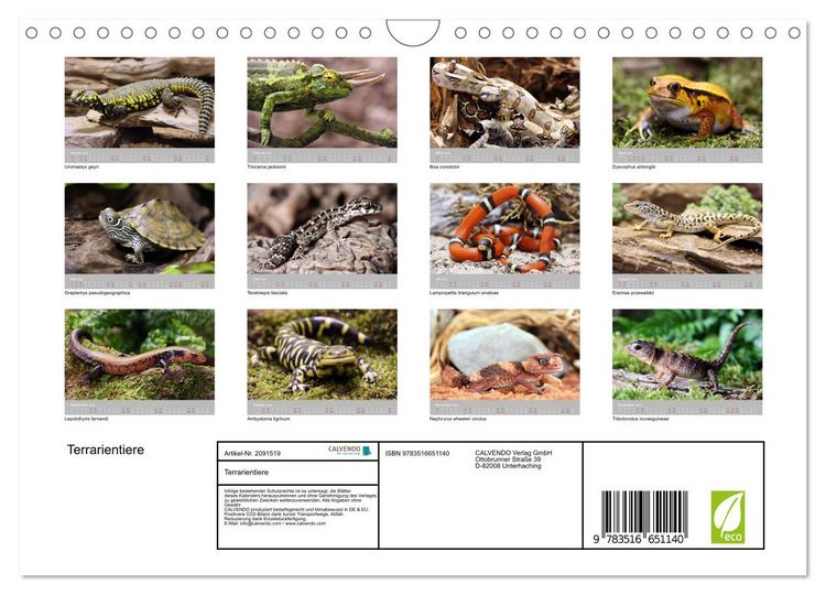 Produktbild: Terrarientiere (Wandkalender 2026 DIN A4 quer), CALVENDO Monatskalender