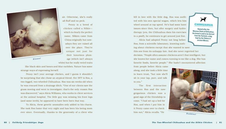 Produktbild: Unlikely Friendships: Dogs