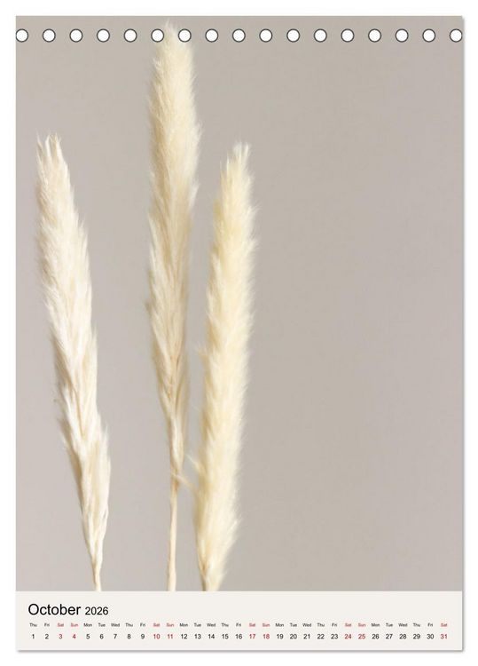 Produktbild: Dried Flowers (Desk Calendar 2026 DIN A5 portrait), CALVENDO 12 Month DeskCalendar