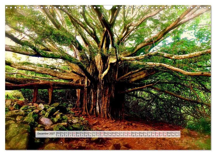 Produktbild: Aloha Spirit &ndash; The Magic of Hawaii (Wall Calendar 2027 DIN A3 landscape), CALVENDO 12 Month Wall Calendar