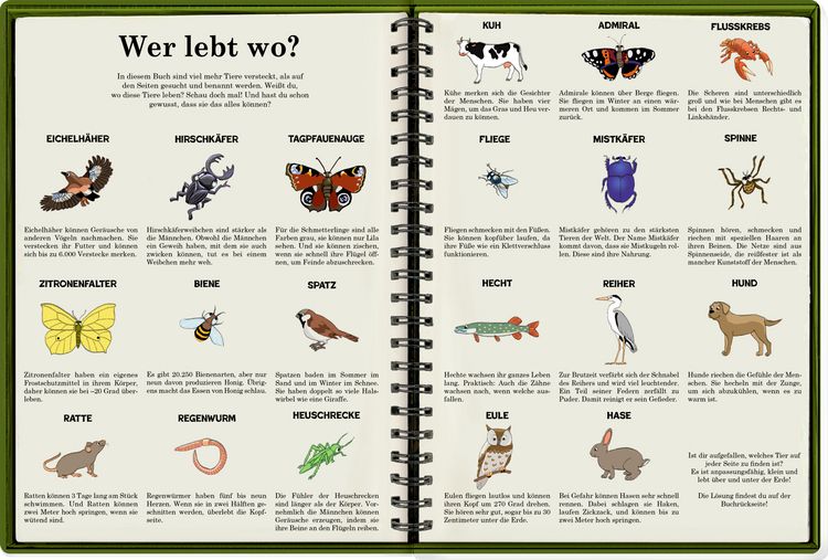 Produktbild: WimmelSuchBuch: Tiere &uuml;ber und unter der Erde (Buchbonus)