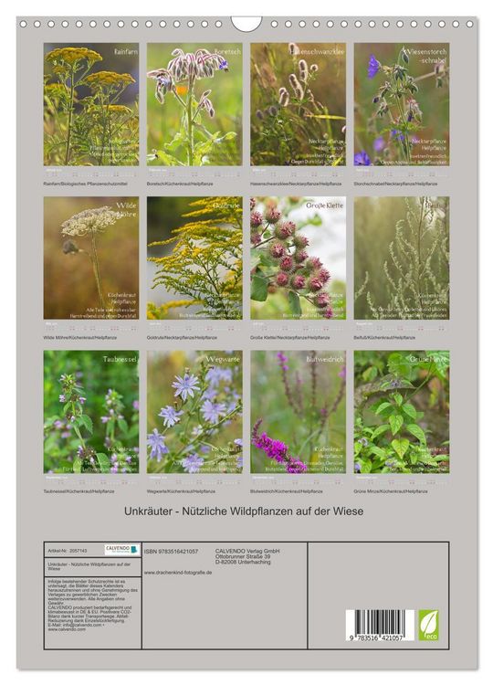 Produktbild: Unkr&auml;uter - N&uuml;tzliche Wildpflanzen auf der Wiese (Wandkalender 2026 DIN A3 hoch), CALVENDO Monatskalender