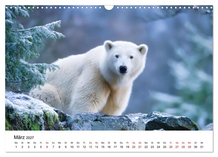 Produktbild: K&ouml;nige des Nordens - Begegnungen mit Eisb&auml;ren (Wandkalender 2027 DIN A3 quer), CALVENDO Monatskalender