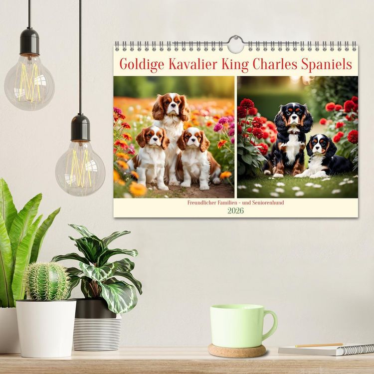 Produktbild: Goldige Kavalier King Charles Spaniels (Wandkalender 2026 DIN A4 quer), CALVENDO Monatskalender