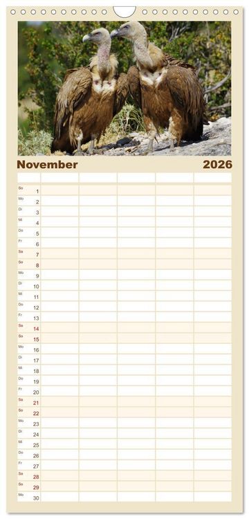 Produktbild: Familienplaner 2026 - Geier - die Gesundheitspolizei! mit 5 Spalten (Wandkalender, 21 x 45 cm) CALVENDO