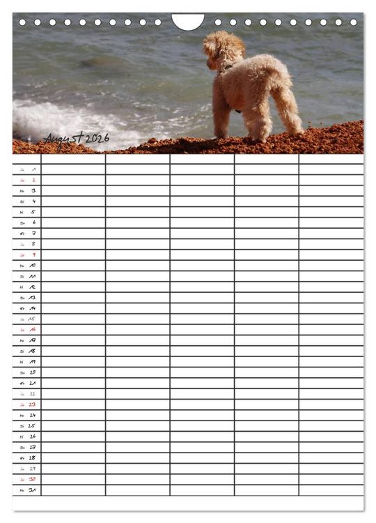 Produktbild: Der Pudel-Familienplaner (Wandkalender 2026 DIN A4 hoch), CALVENDO Monatskalender