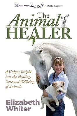 Produktbild: The Animal Healer