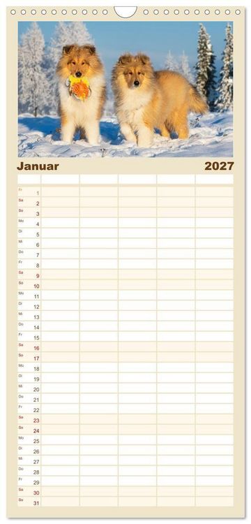 Produktbild: Familienplaner 2027 - Faszinierende Rough Collies mit 5 Spalten (Wandkalender, 21 x 45 cm) CALVENDO