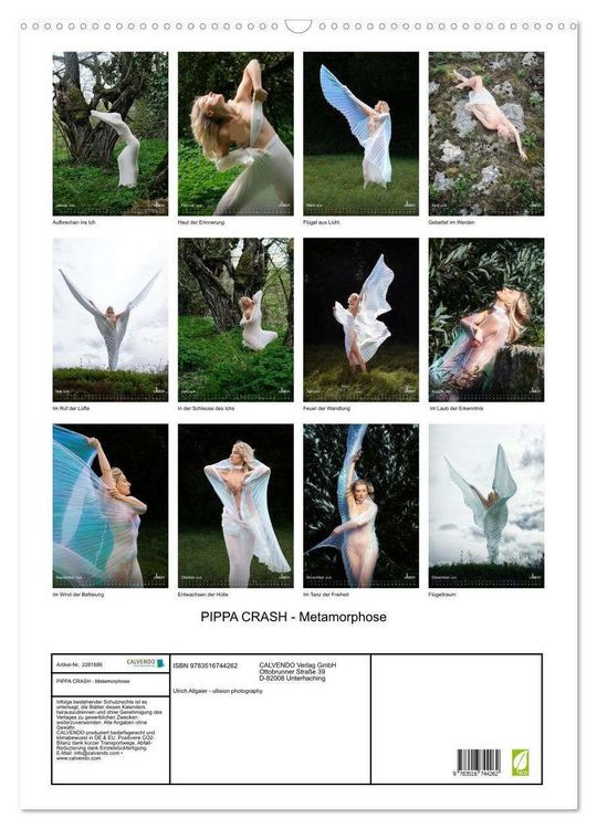 Produktbild: PIPPA CRASH - Metamorphose (Wandkalender 2026 DIN A2 hoch), CALVENDO Monatskalender