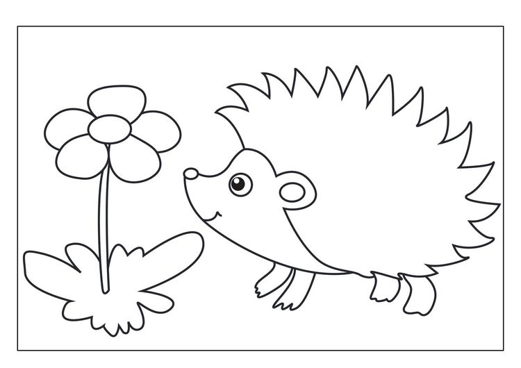 Produktbild: Tiere Malbuch f&uuml;r Kinder ab 2 Jahren mit 50 sch&ouml;nen Tiermotiven zum Ausmalen