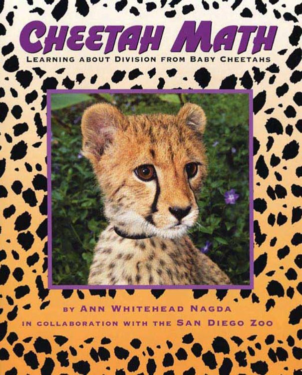 Produktbild: Cheetah Math