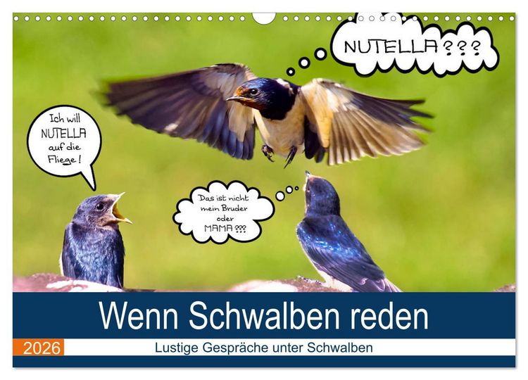 Produktbild: Wenn Schwalben reden (Wandkalender 2026 DIN A3 quer), CALVENDO Monatskalender