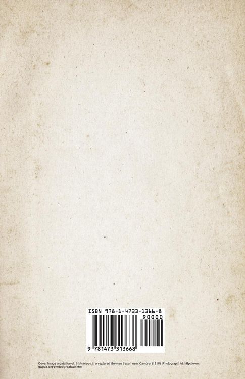 Produktbild: The Irish on the Somme (WWI Centenary Series)