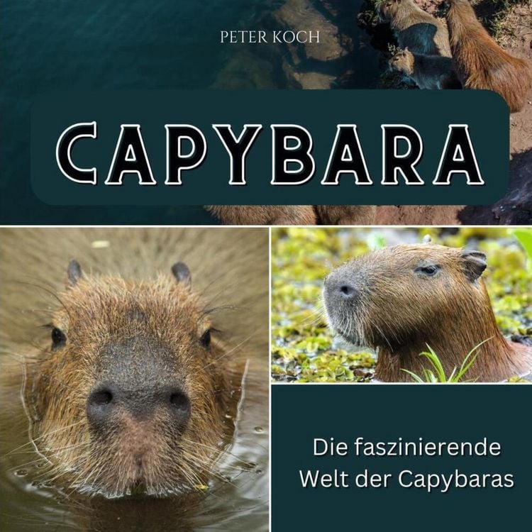 Produktbild: Capybara