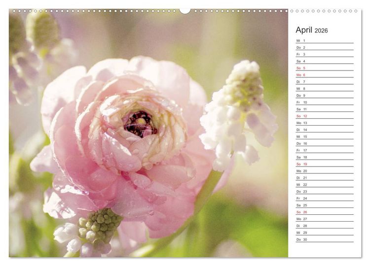 Produktbild: Blumenfreude Terminkalender (Wandkalender 2026 DIN A2 quer), CALVENDO Monatskalender