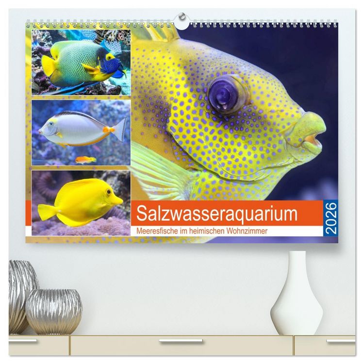 Produktbild: Salzwasseraquarium. Meeresfische im heimischen Wohnzimmer (hochwertiger Premium Wandkalender 2026 DIN A2 quer), Kunstdruck in Hochglanz