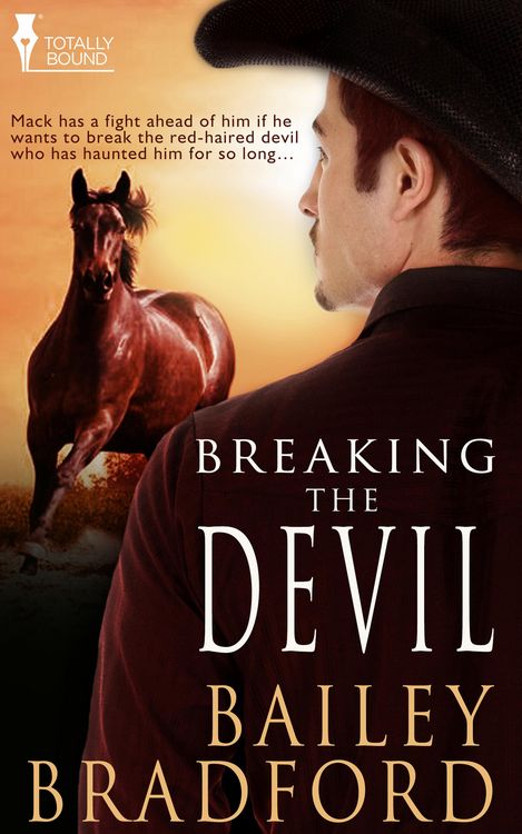 Produktbild: Breaking the Devil