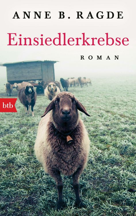 Produktbild: Einsiedlerkrebse