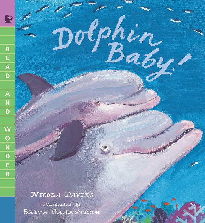 Produktbild: Dolphin Baby!