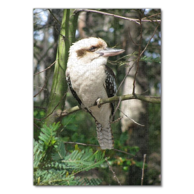 Produktbild: Lais Puzzle Kookaburra 500 Teile
