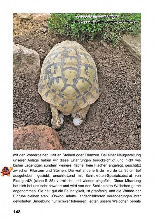 Produktbild: Landschildkr&ouml;ten-Freilandanlagen