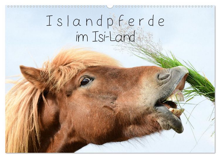 Produktbild: Islandpferde im Isi-Land (Wandkalender 2026 DIN A2 quer), CALVENDO Monatskalender