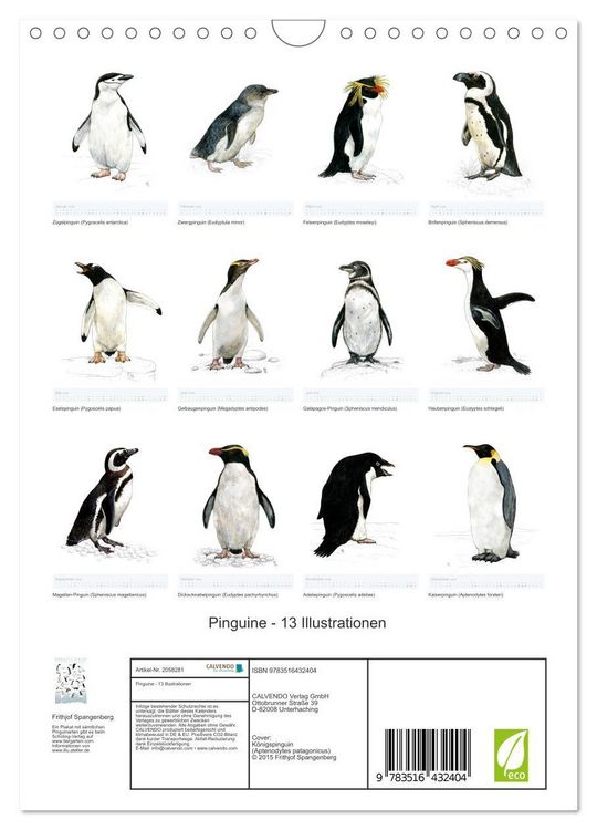Produktbild: Pinguine - 13 Illustrationen (Wandkalender 2026 DIN A4 hoch), CALVENDO Monatskalender