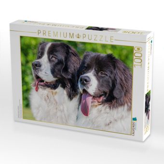 Produktbild: CALVENDO Puzzle Portr&auml;t zweier Landseer | 1000 Teile Lege-Gr&ouml;&szlig;e 64x48cm Foto-Puzzle f&uuml;r gl&uuml;ckliche Stunden