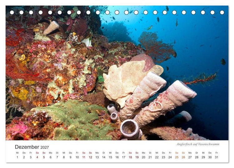 Produktbild: Unterwasser - eine bunte Welt (Tischkalender 2027 DIN A5 quer), CALVENDO Monatskalender