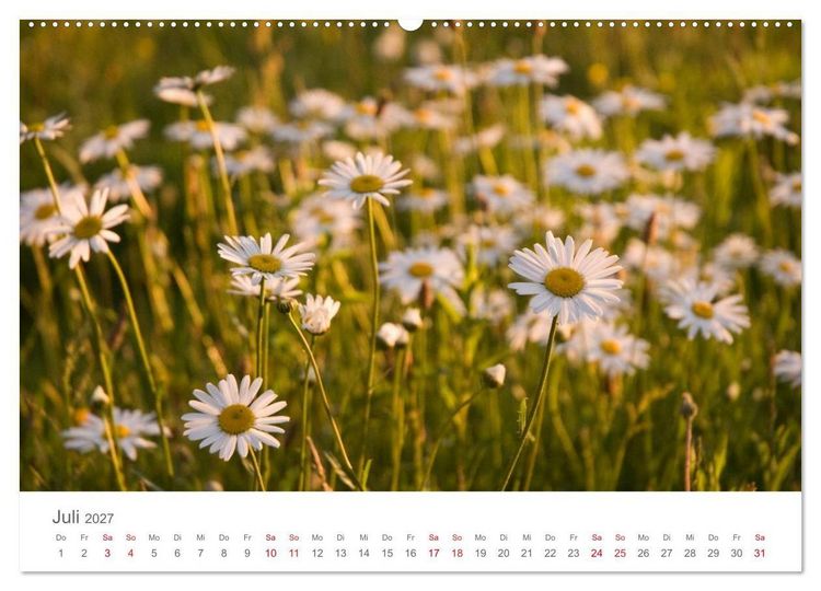 Produktbild: Nordisch gut - Schweden (Wandkalender 2027 DIN A2 quer), CALVENDO Monatskalender