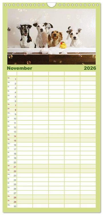 Produktbild: Familienplaner 2026 - Die Parson-Russell-Terrier ...mit neuen Abenteuern aus der Hundeknipserei mit 5 Spalten (Wandkalender, 21 x 45 cm) CALVENDO