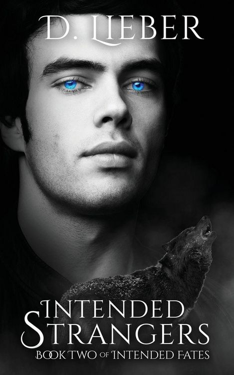 Produktbild: Intended Strangers