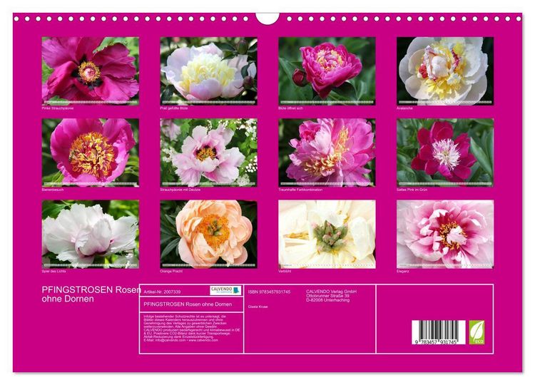 Produktbild: PFINGSTROSEN Rosen ohne Dornen (Wandkalender 2026 DIN A3 quer), CALVENDO Monatskalender