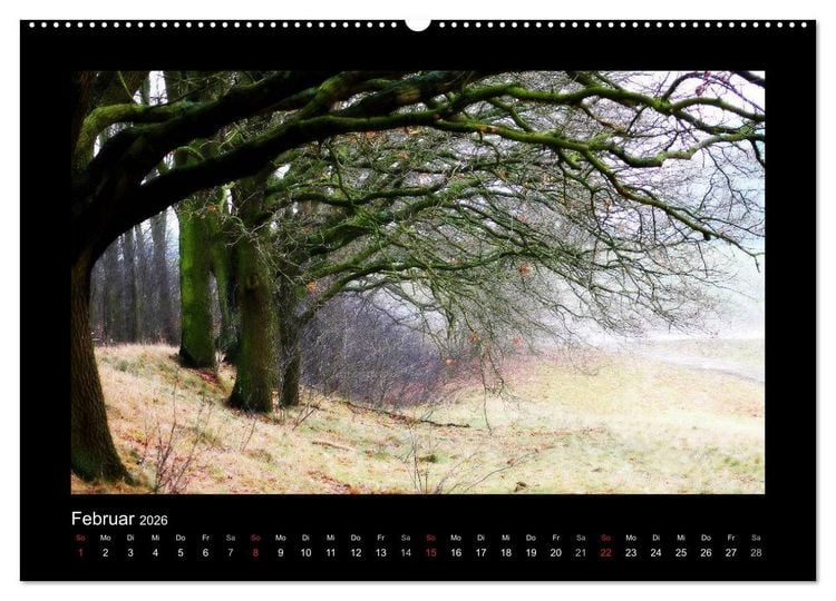 Produktbild: Landschaft Teufelsmoor / 2026 (Wandkalender 2026 DIN A2 quer), CALVENDO Monatskalender